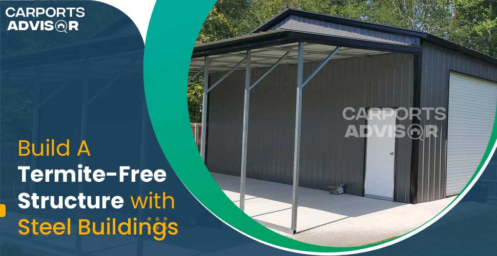 Build A Termite-Free Structure with Steel Buildings