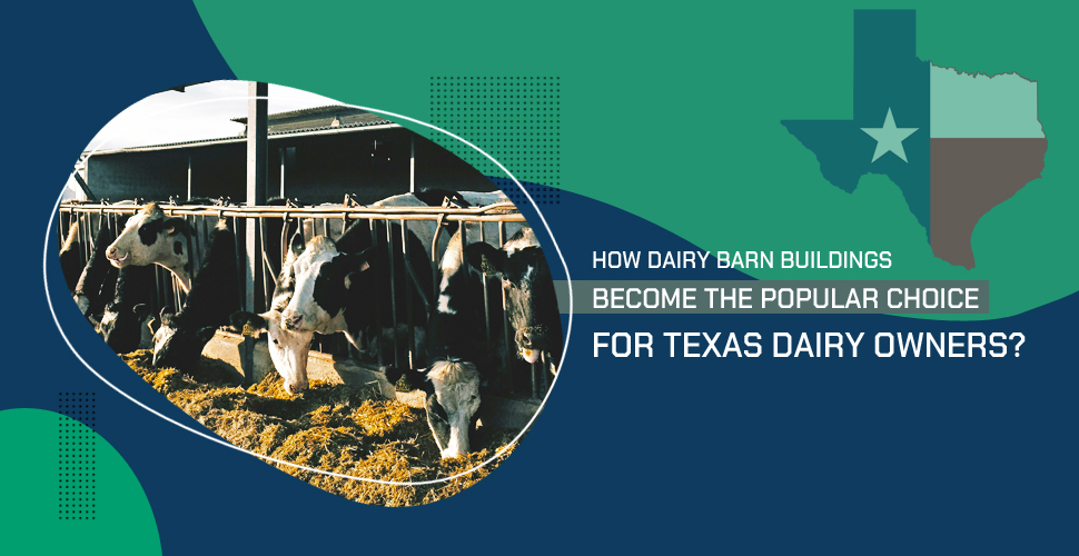 How Dairy Barn Buildings Become The Popular Choice For Texas Dairy Owners?