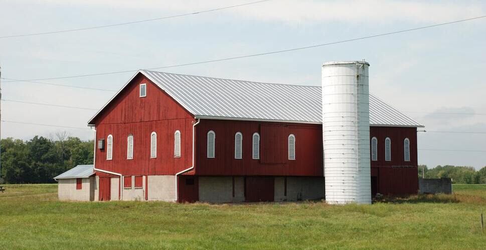 boost your cow comfort with steel dairy barn