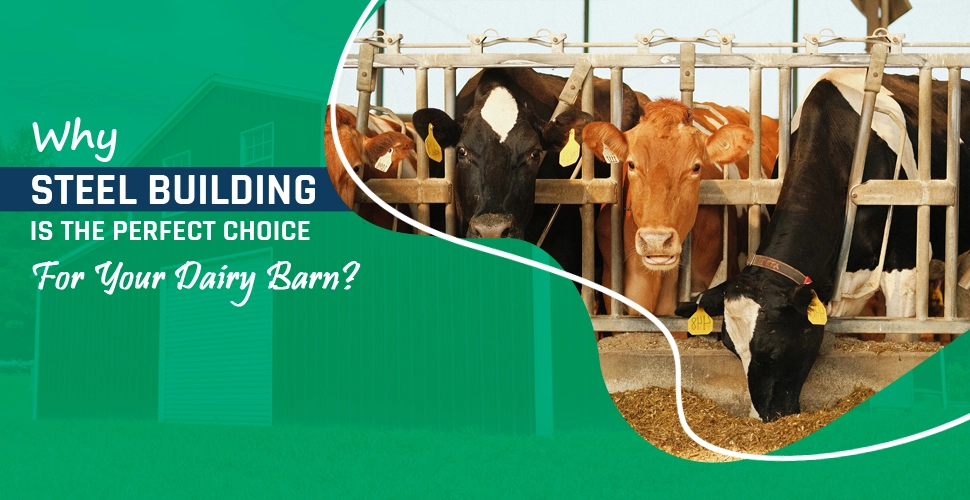 why steel building is the perfect choice for your dairy barn